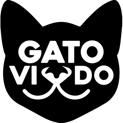 GATO VIUDO